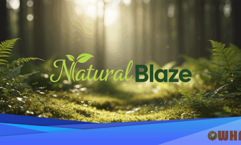 Estrogen Levels Linked to Serotonin Function